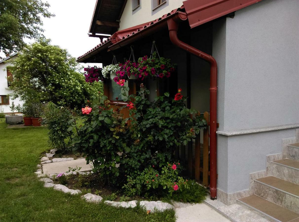 Апартаменти House Sara Кореница Екстер'єр фото
